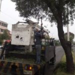 Trabajos preventivos en el arbolado urbano de la avenida Galo Plaza Trabajos preventivos en el arbolado urbano de la avenida Galo Plaza