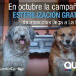 En Zona La Delicia se cumple campaña de esterilización gratuita de mascotas En Zona La Delicia se cumple campaña de esterilización gratuita de mascotas