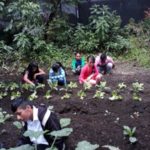 Huertos y jardines en instituciones educativas municipales Huertos y jardines en instituciones educativas municipales