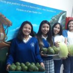 Colegio Municipal Alfredo Pérez Guerrero organiza Feria Agrícola Colegio Municipal Alfredo Pérez Guerrero organiza Feria Agrícola