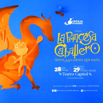 LA PRINCESA CABALLERO