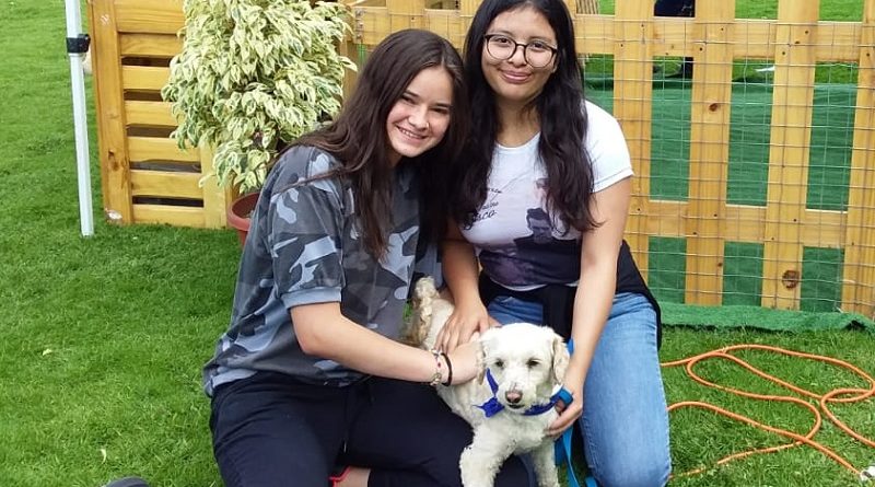 Cuidemos a los animales
