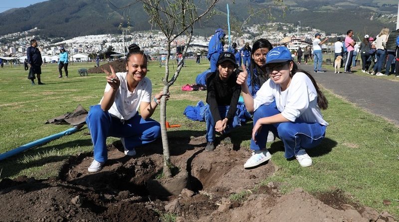Un millón de árboles para Quito