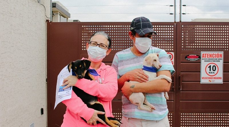 Urbanimal ejecuta campaña virtual de adopción
