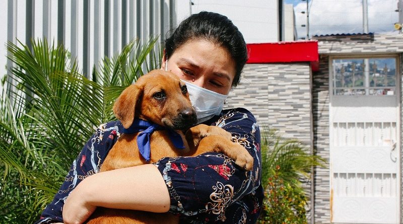 Urbanimal ejecuta campaña virtual de adopción