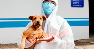 Cuidados para animales de compañía