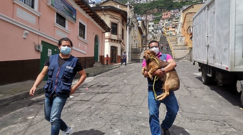 Esterilización Centro Histórico