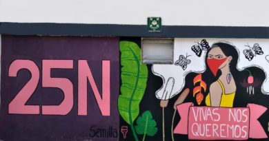 Mural UMSS y colectivo Semilla Muralista