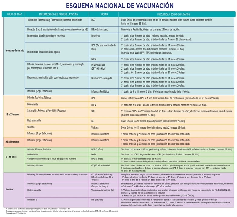 Esquema vacunación