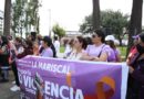 El Día Internacional por la No Violencia Contra la Mujer se conmemoró en Quito