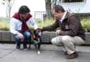 Municipio de Quito entrega en adopción al perrito Santi