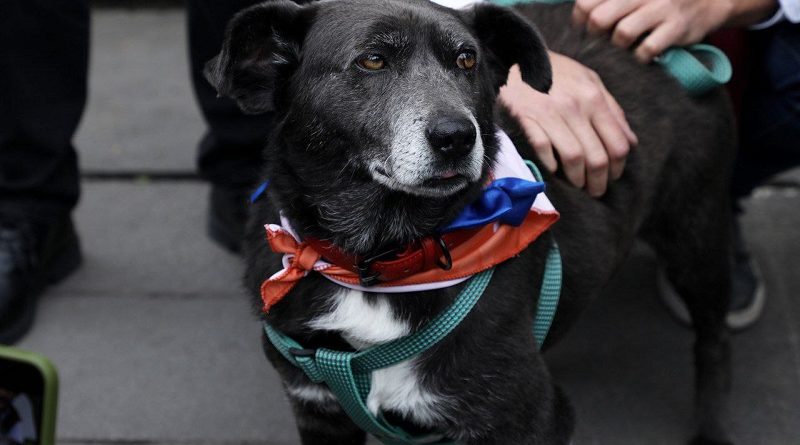 Santi adopción