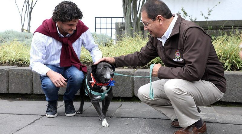 Santi adopción