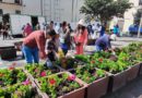 Se embelleció la plaza de Santa Clara con geranios