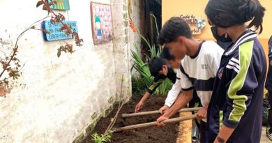 Unidades Educativas Municipales implementan huertos orgánicos