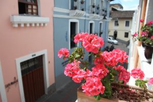 Geranios en balcones del Centro Histórico