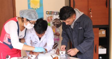 Casa abierta de la juventud, una atractiva invitación a los quiteños