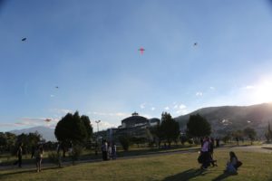 Festival de Cometas