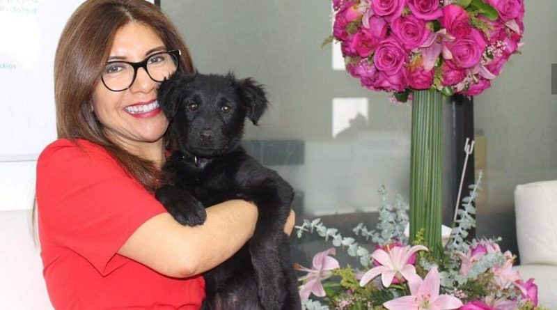 Visita a instituciones públicas que adoptaron un perro para constatar su cuidado y desarrollo
