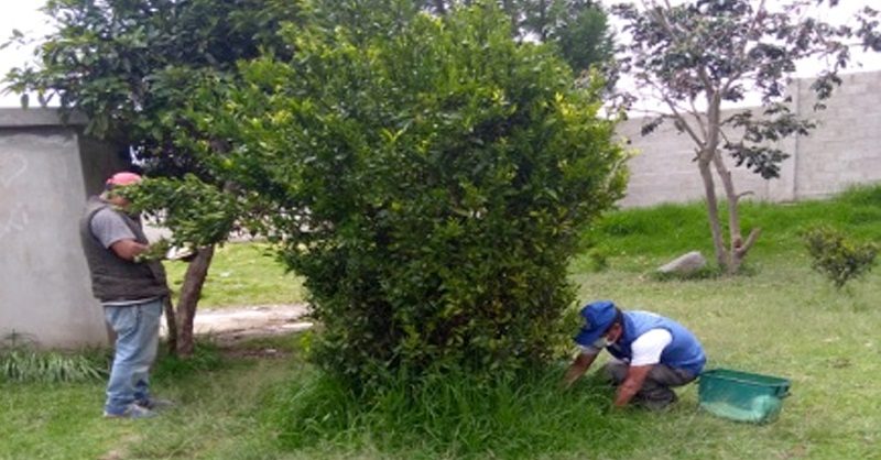 DESRATIZACION COMUNA LUMBISÍ