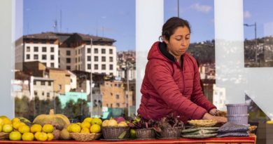 FESTIVAL ITINERANTE PRODUCTORES