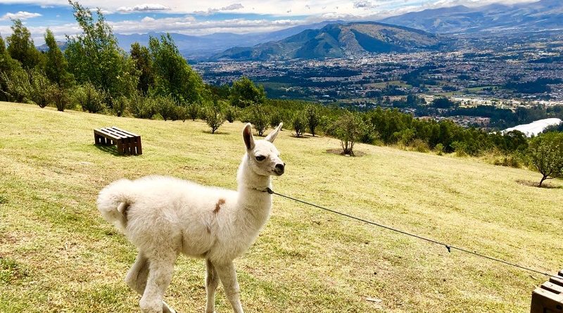 Más de 121 mil personas visitaron los parques durante el feriado