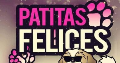 OBRA DE TEATRO PATITAS FELICES