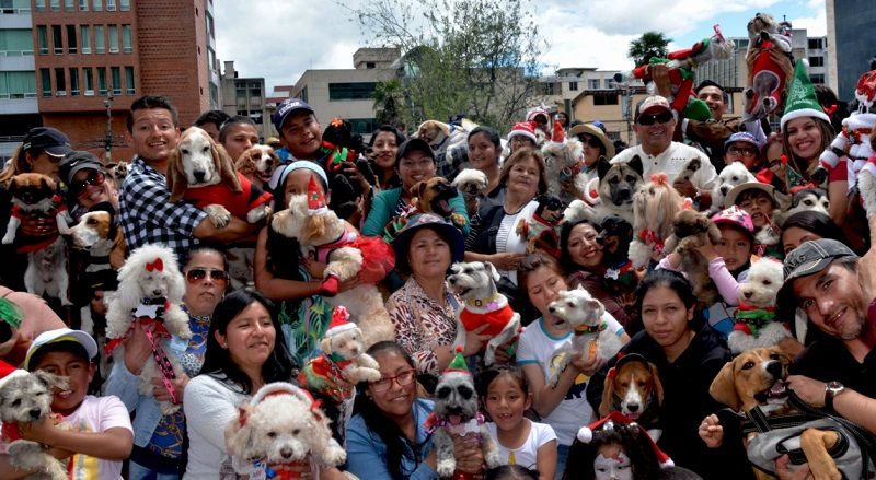 Navidad Perruna
