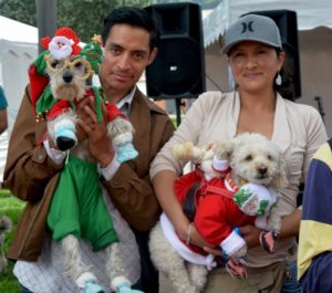 Navidad Perruna