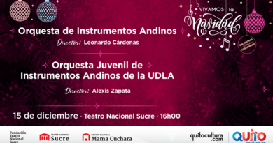 CONCIERTO NAVIDAD 15 DICIEMBRE