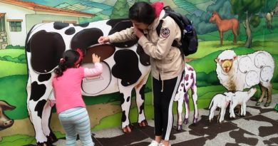 Feriado Diciembre