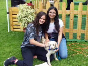 Cuidemos a los animales