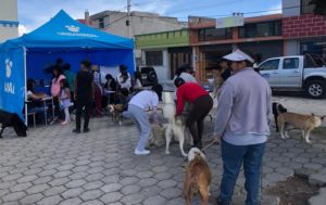 Desparacitación Comuna San Miguel del Común