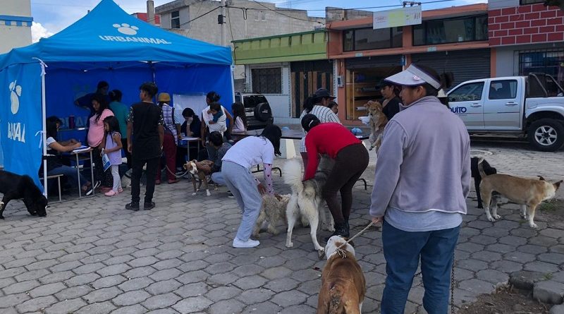 Desparacitación Comuna San Miguel del Común