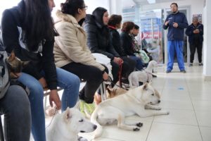 Manejo integral de fauna urbana en el DMQ