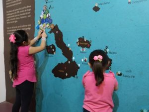 Actividades en Museos de la Ciudad