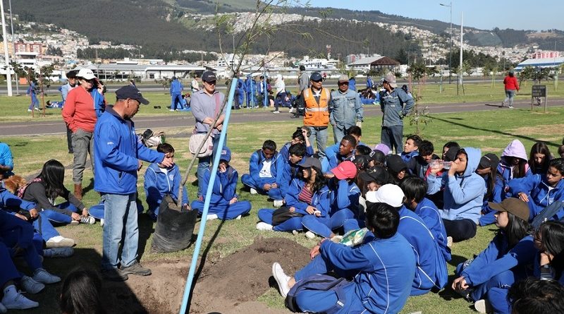 Un millón de árboles para Quito