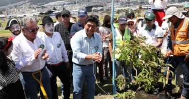 Un millón de árboles para Quito