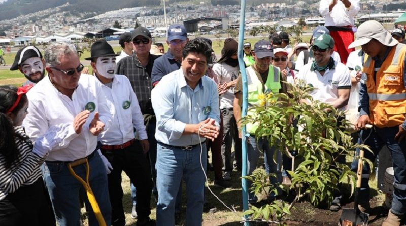 Un millón de árboles para Quito