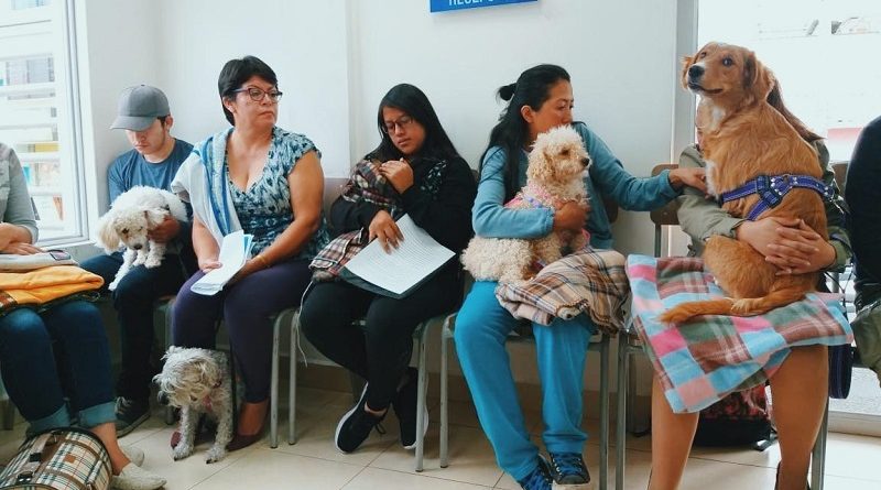 Día mundial esterilización