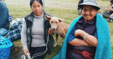 Esterilización Quitumbe