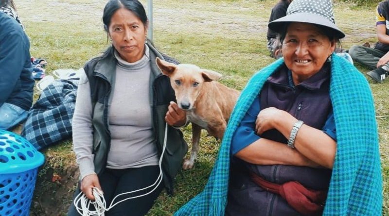 Esterilización Quitumbe