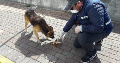 Urbanimal labora en estado de emergencia