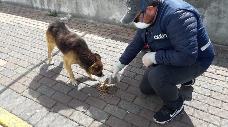 Urbanimal labora en estado de emergencia