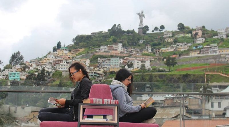 libro y rosa