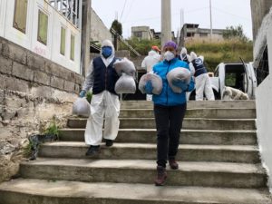 Acciones a favor de la fauna urbana