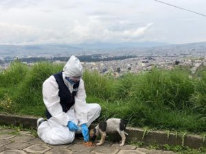 Acciones a favor de la fauna urbana