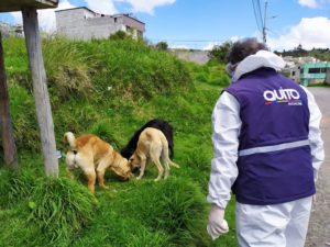 Brigadas de Atención Veterinaria