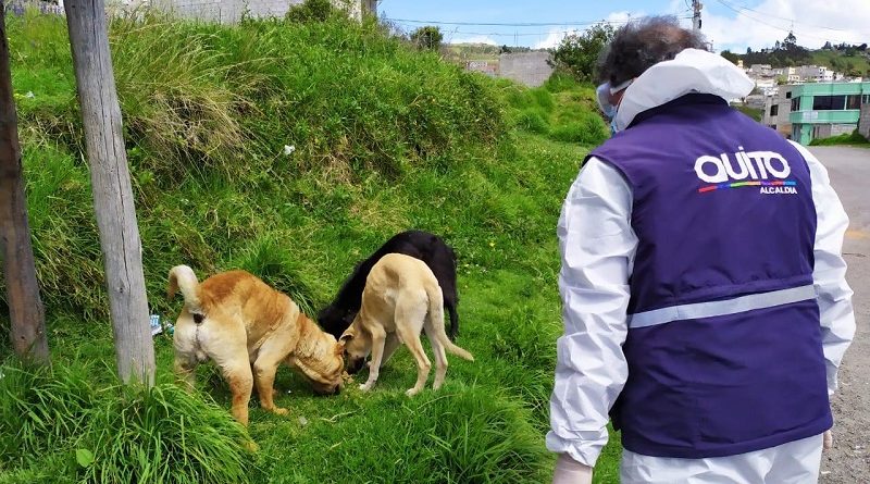 Brigadas de Atención Veterinaria