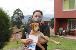 Adopción de animales